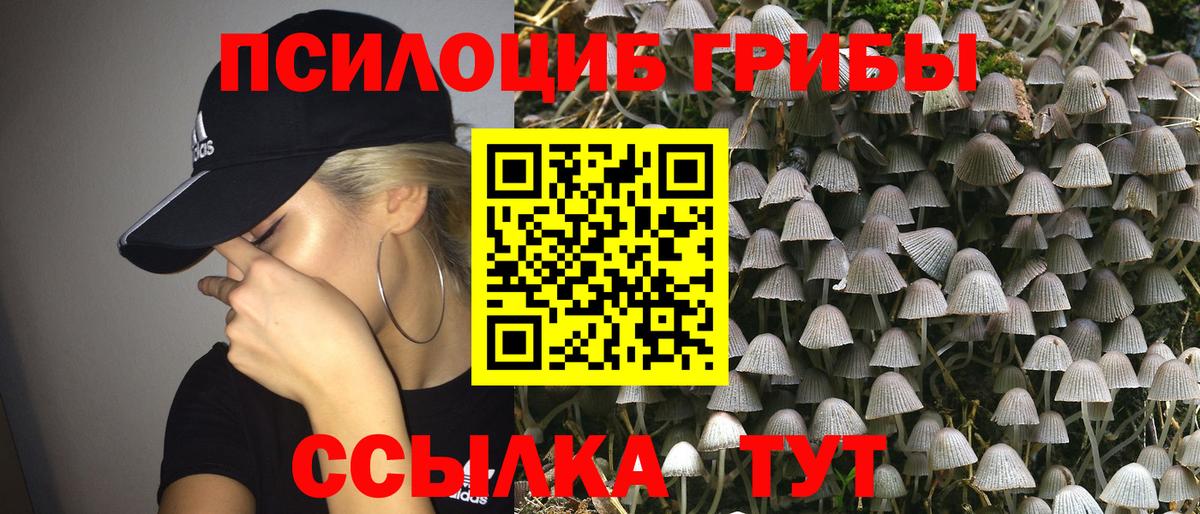 Псилоцибиновые грибы GOLDEN TEACHER Наро-Фоминск
